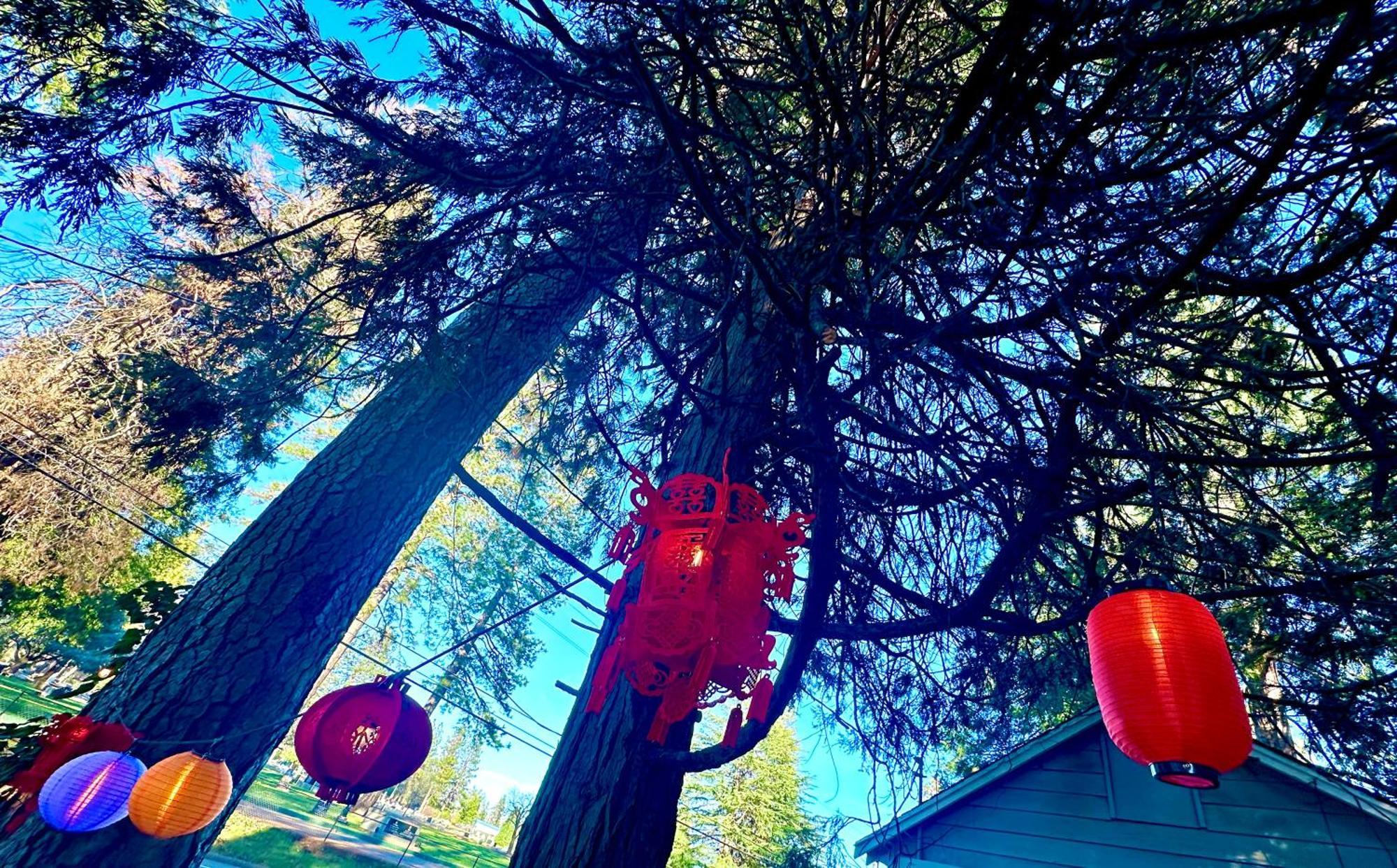 The Pines Inn And Cottages Grass Valley Exterior foto