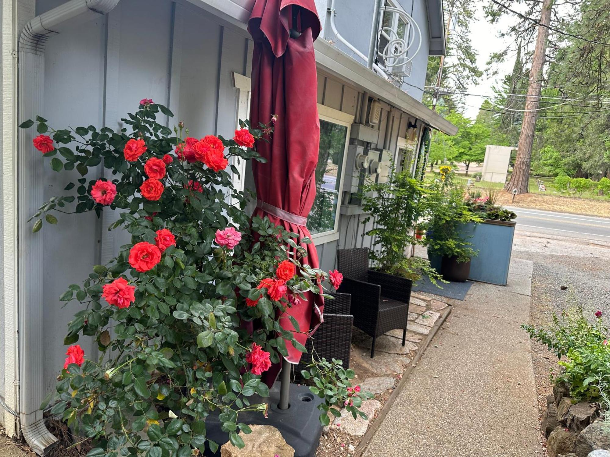 The Pines Inn And Cottages Grass Valley Exterior foto